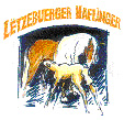 Stud-Book Luxembourgeois Pour Chevaux Haflinger asbl
